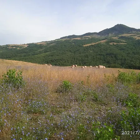 Отель типа 